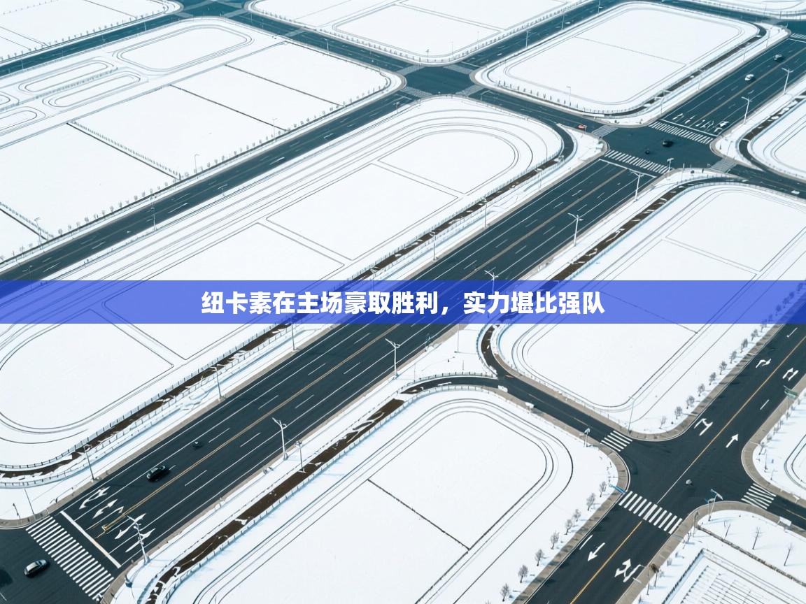 纽卡素在主场豪取胜利，实力堪比强队  第1张