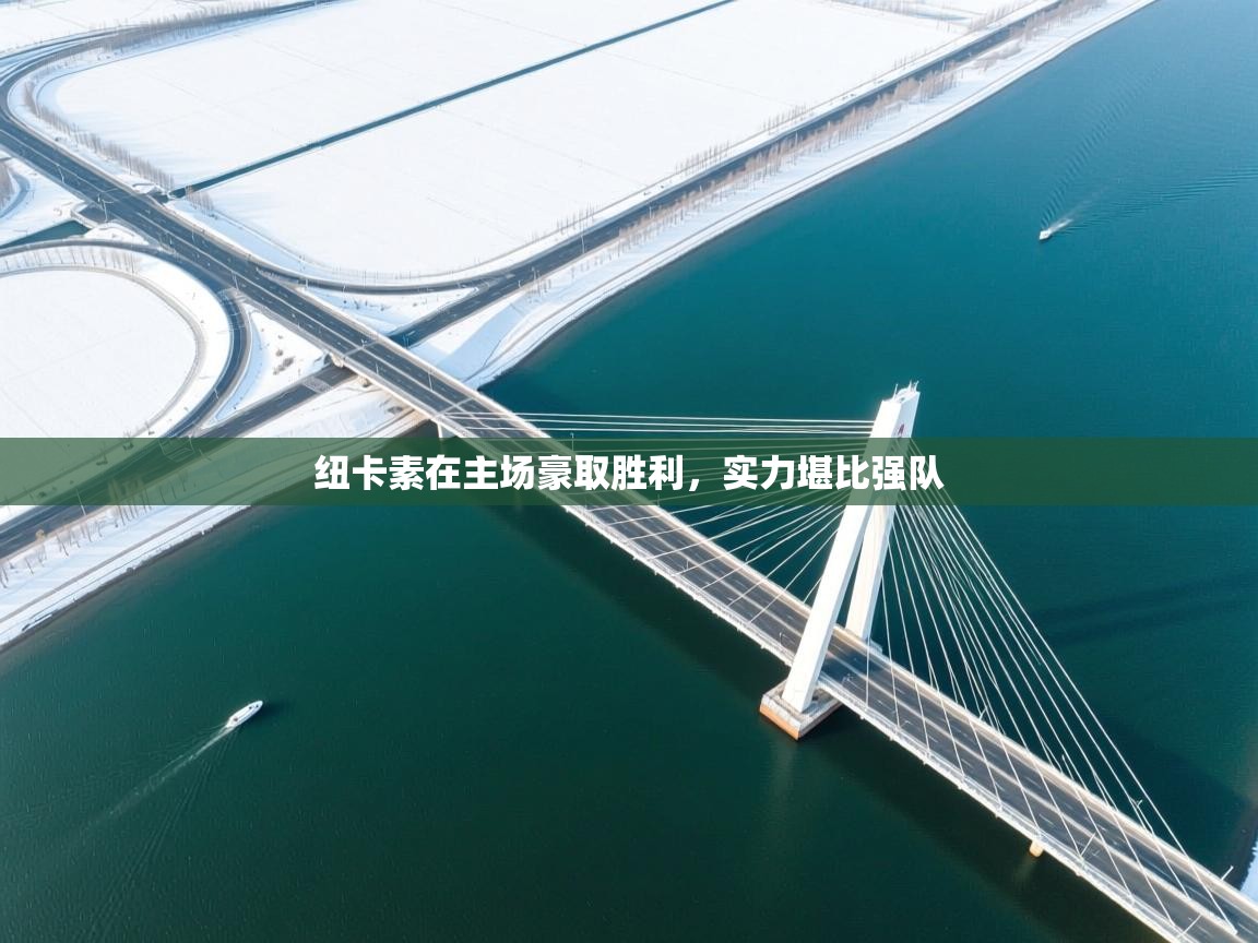 纽卡素在主场豪取胜利，实力堪比强队  第2张