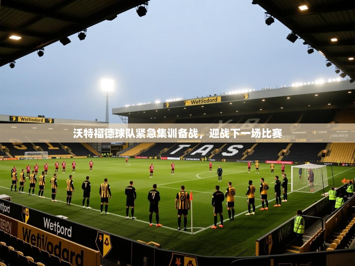 沃特福德球队紧急集训备战，迎战下一场比赛