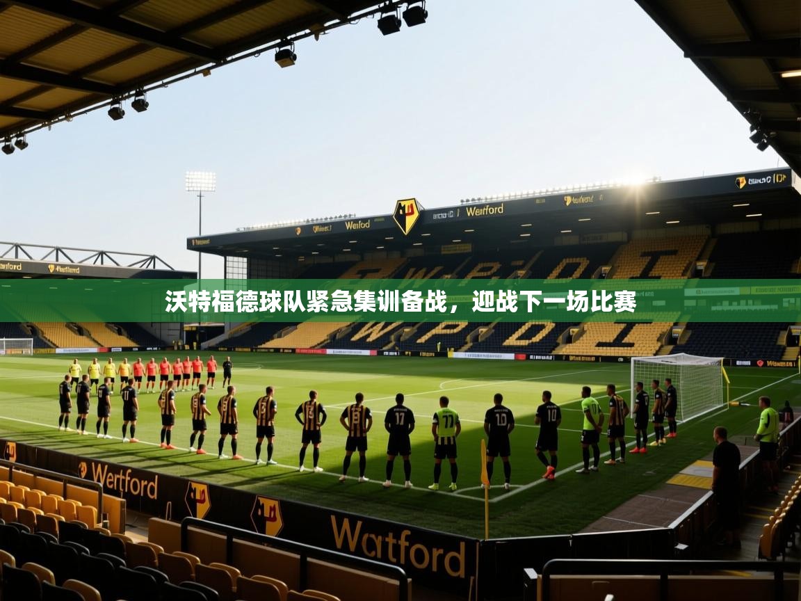 沃特福德球队紧急集训备战，迎战下一场比赛  第2张