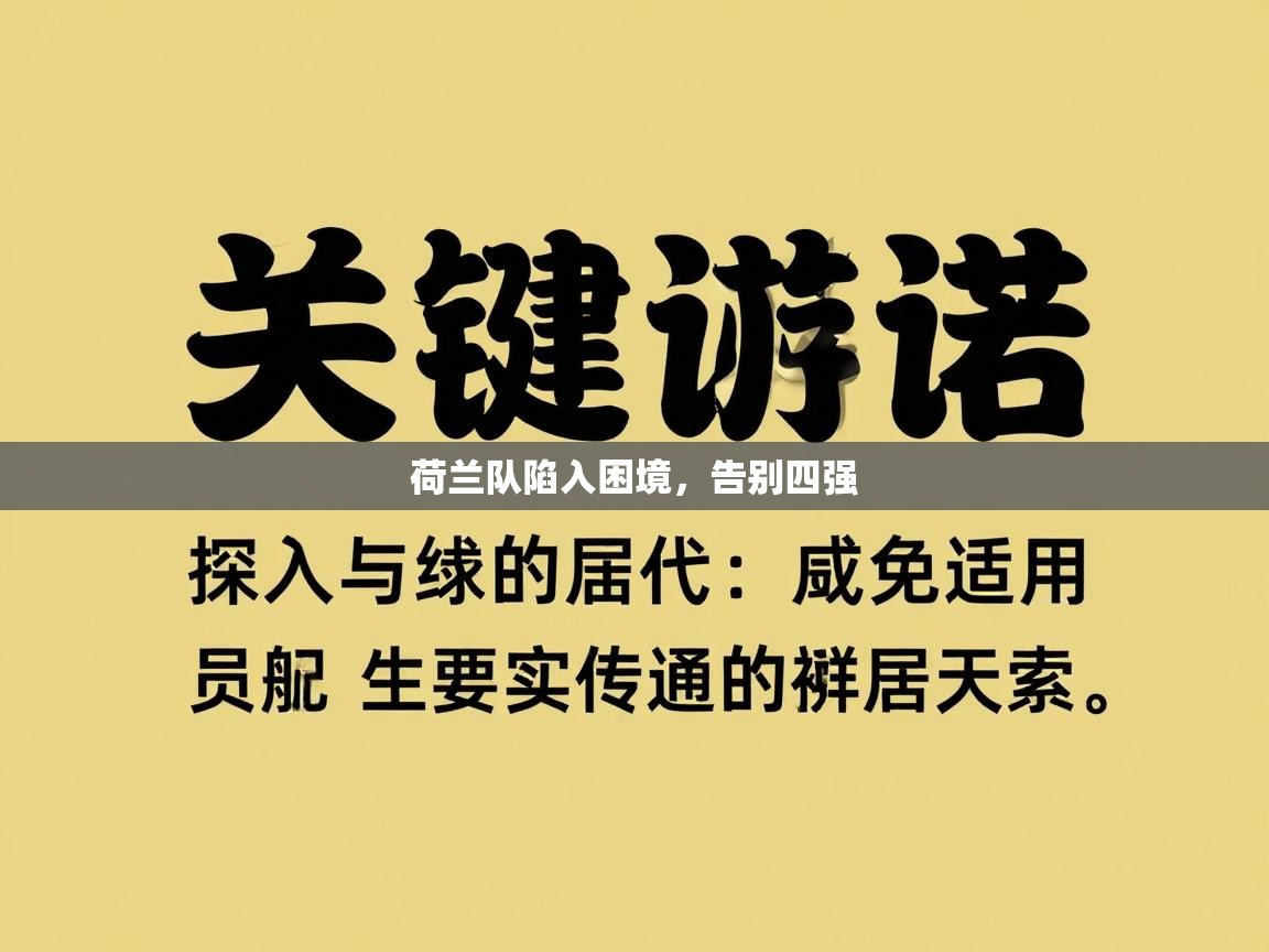 荷兰队陷入困境,告别四强 第1张