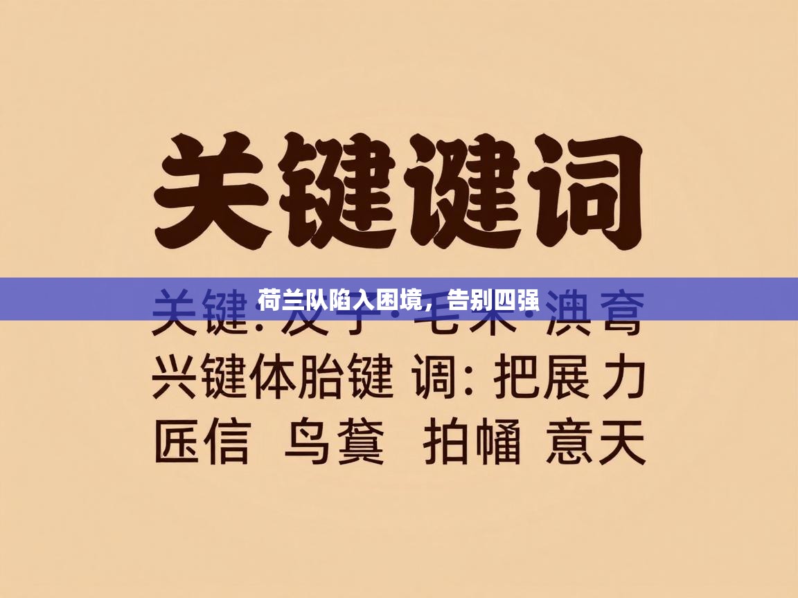 荷兰队陷入困境,告别四强 第2张